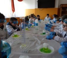 Ferie z biblioteką 2020