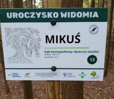 Ścieżka edukacyjna