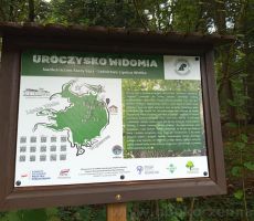 Ścieżka edukacyjna